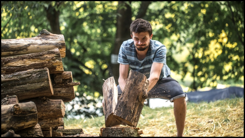 Tree Removal in Lafayette, LA